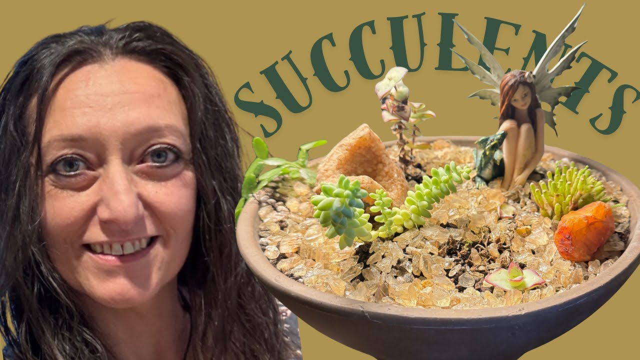 Transplanting SUCCULENT Houseplants Successfully