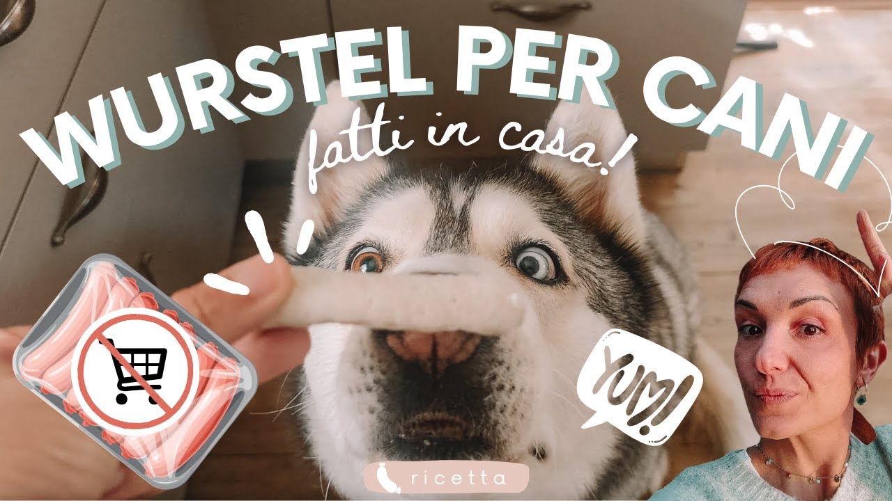 Come fare snack sani per cani | 🌭🐾Ricetta Dog würstel fatti in casa