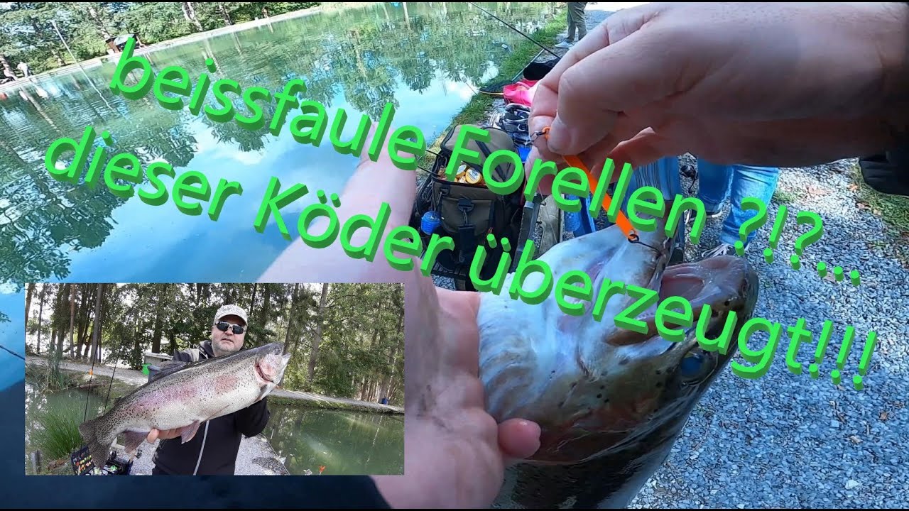 #52 Angelanlage Limburg-Linter bei John Huston am 06.09.2020