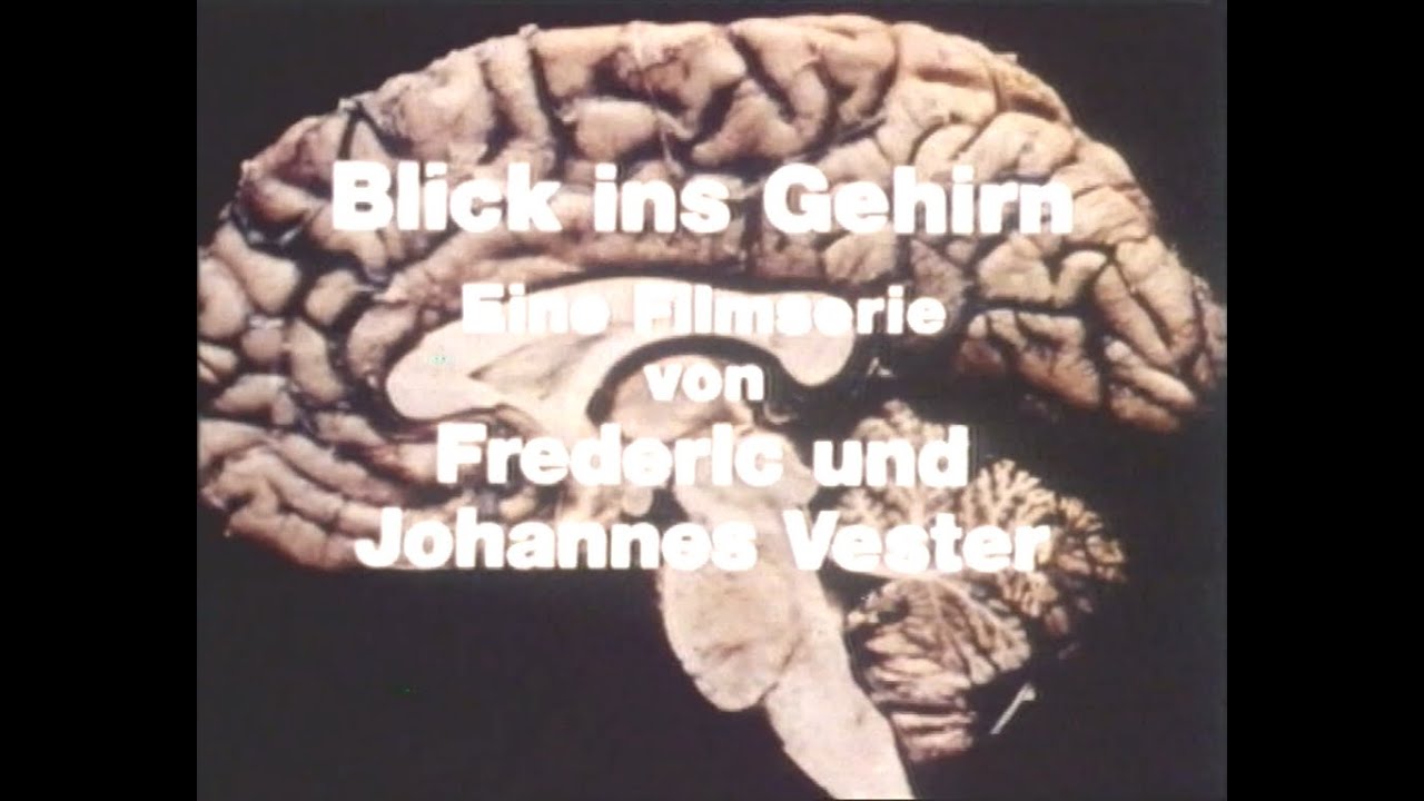 Blick ins Gehirn - Klett Film... (LaserDisc)