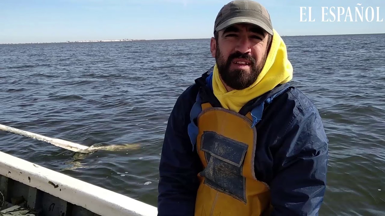 La RUINA de los pescadores del MAR MENOR