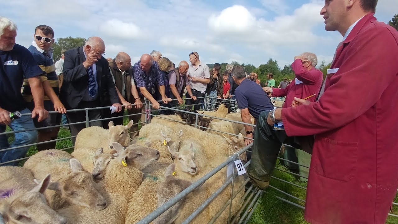 Chagford Market 2024 Week 2