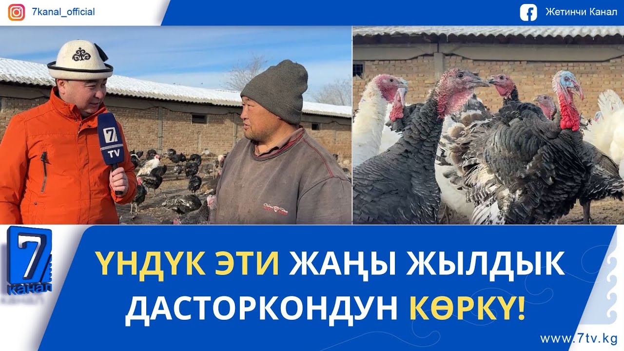 ҮНДҮК ЭТИ ЖАҢЫ ЖЫЛДЫК ДАСТОРКОНДУН КӨРКҮ