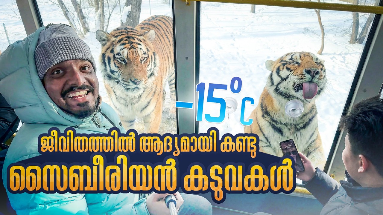 ലോകത്തിലെ ഏറ്റവും വലിയ കടുവ വർഗ്ഗം | സൈബീരിയൻ കടുവകളെ ആദ്യമായി കണ്ടു | EP #5