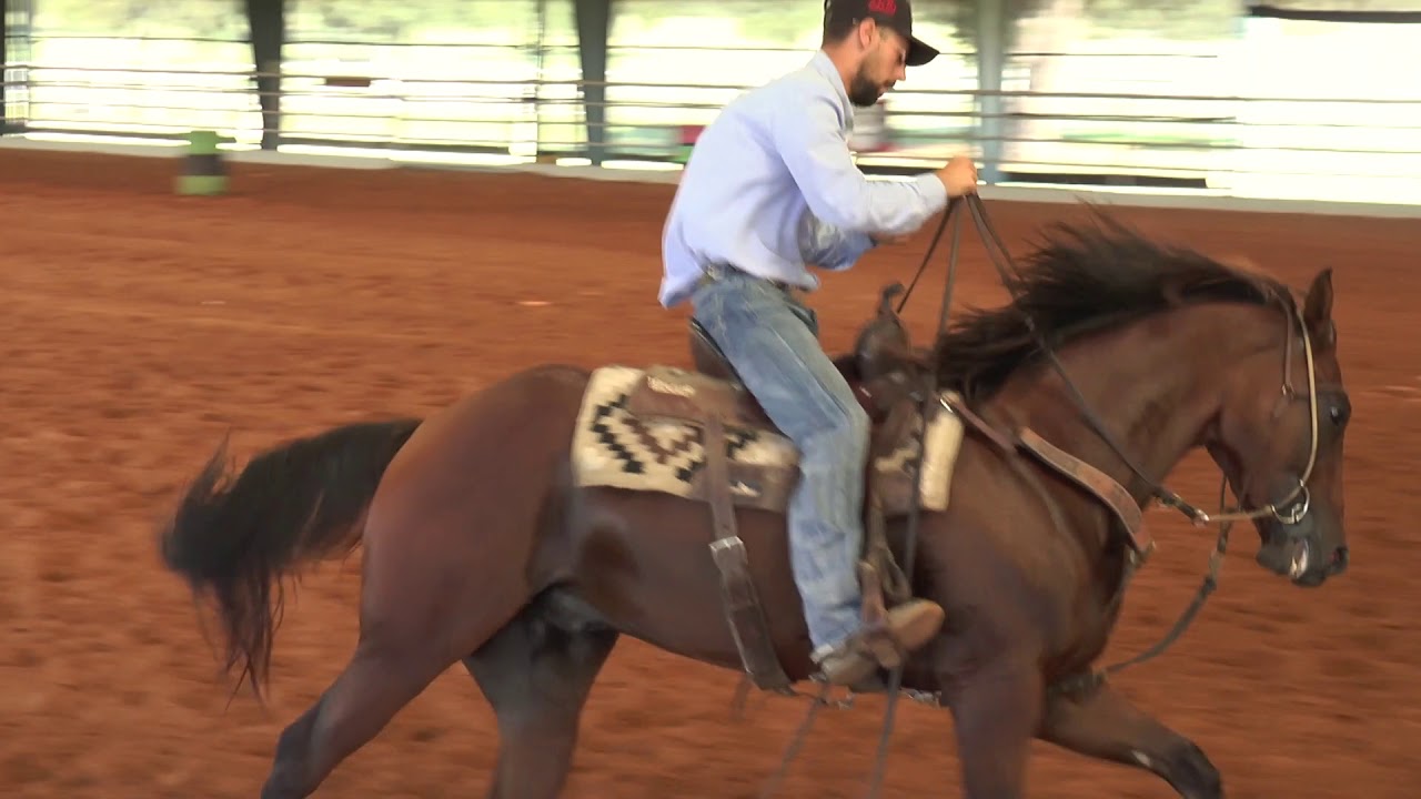 Brandon Cullins Fix a Ducking Horse