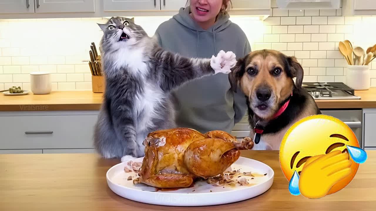 The Funniest Animals On The Internet 😂 NEW Funny Animal Videos 2026