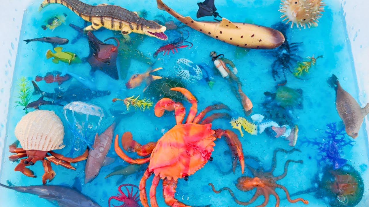 Ocean Creatures In Huge Blue Slime Tray | Starfish, Sting Rays, Jellyfish, Sharks| Learn Names