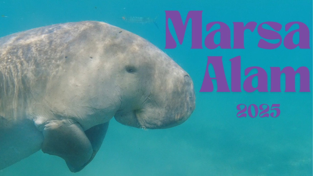 Marsa Alam 2025 (Shams Alam Beach Resort)