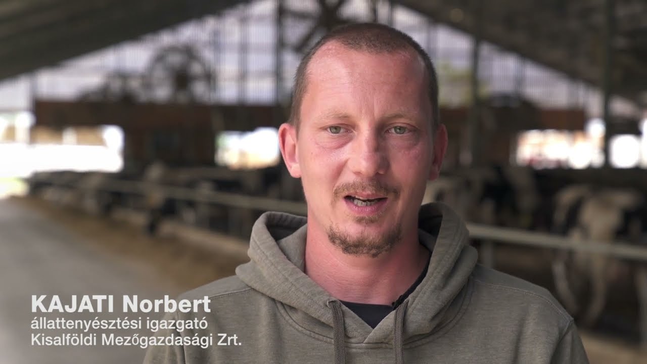 Robotos tehenészet Balogh-tagon // Kisalföldi Mezőgazdasági Zrt.