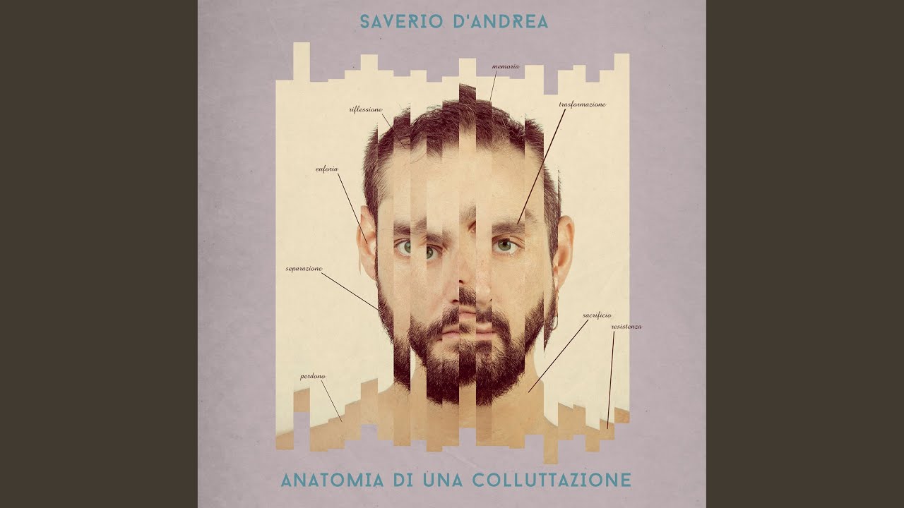 Hai perso la testa per un pazzo