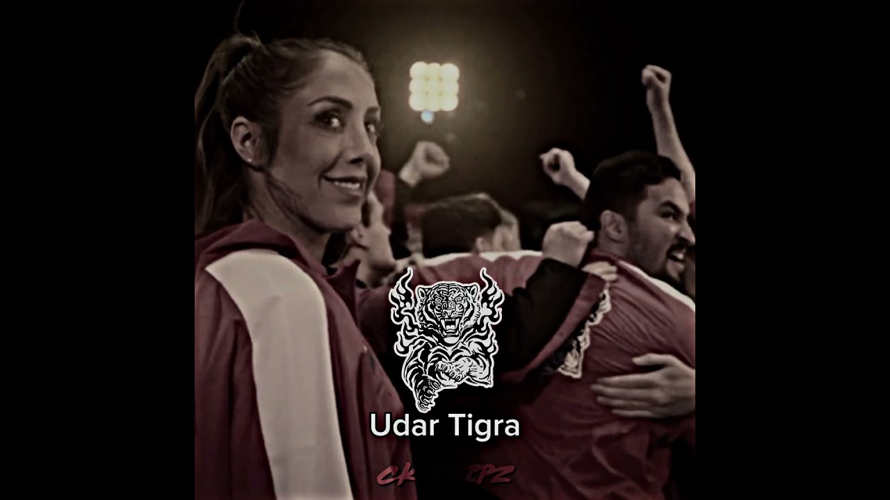 Best dojos in the Karate Kid / Cobra Kai #cobrakai #thekaratekid #karatekid #miyagido #cobrakaichop