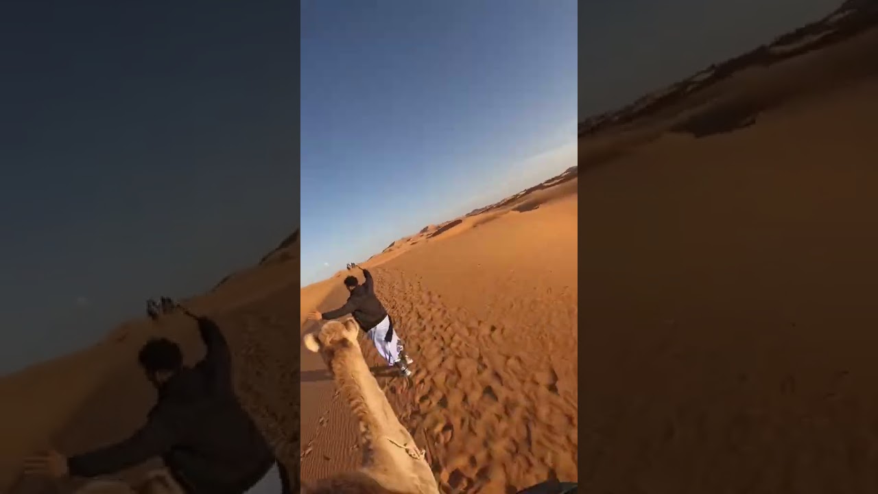 Sahara Camel Ride in Morocco  Footage From the Vault #travel #shorts #saharadesert