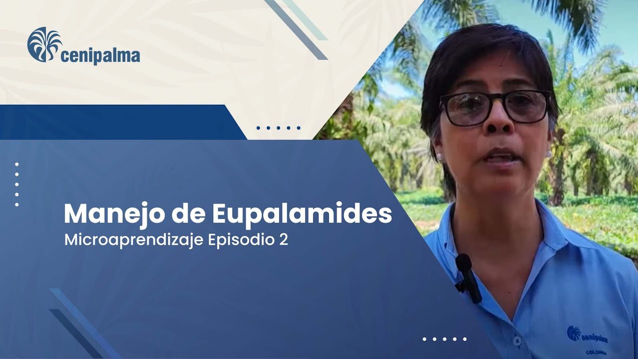 Microaprendizaje Manejo de Eupalamides - Episodio 2