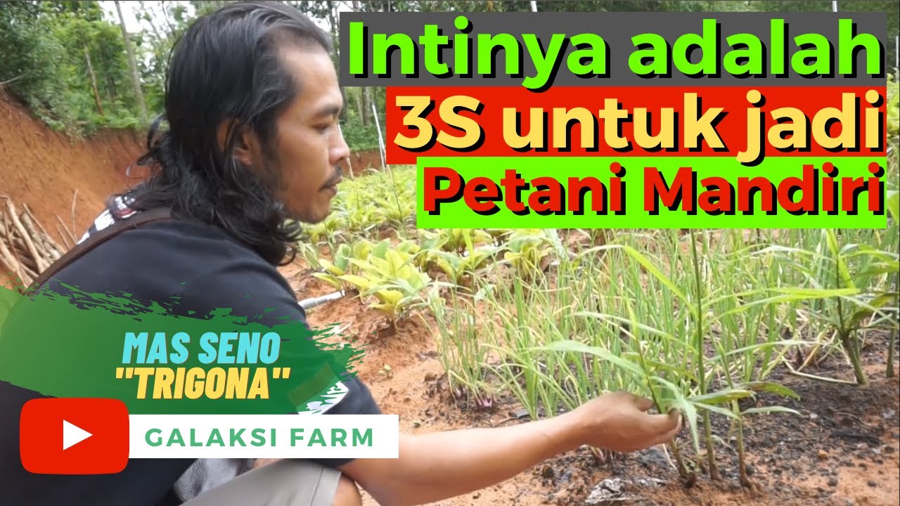 Mas Seno [PART 2] : Inti Dari Menjadi Petani Mandiri Itu Adalah Ini