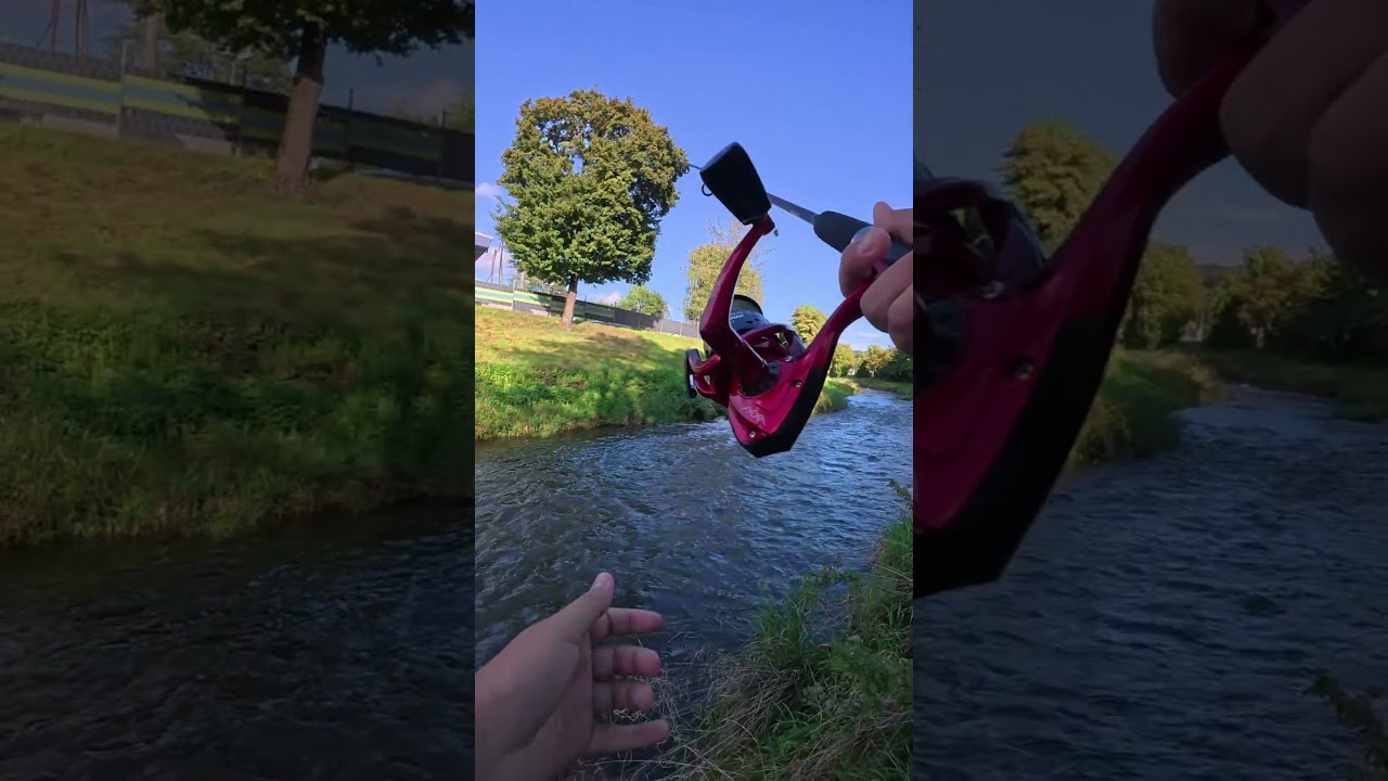 So den ersten d&ouml;bel fangen🍞🐟🎣#fishing#angeln#d&ouml;bel#aitel#viral