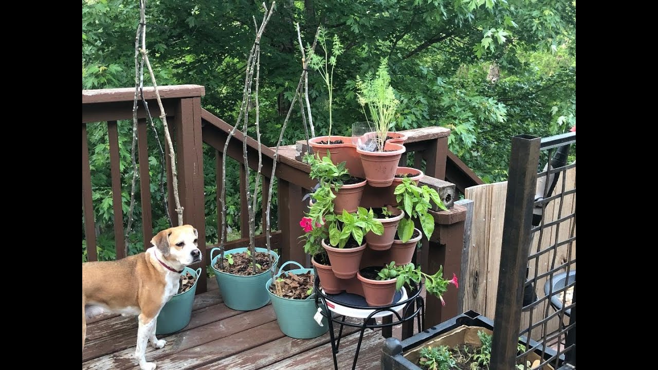 May 2023 Garden Tour&hellip;Cucumber Disaster and Baker Creek Spring Planting Fest