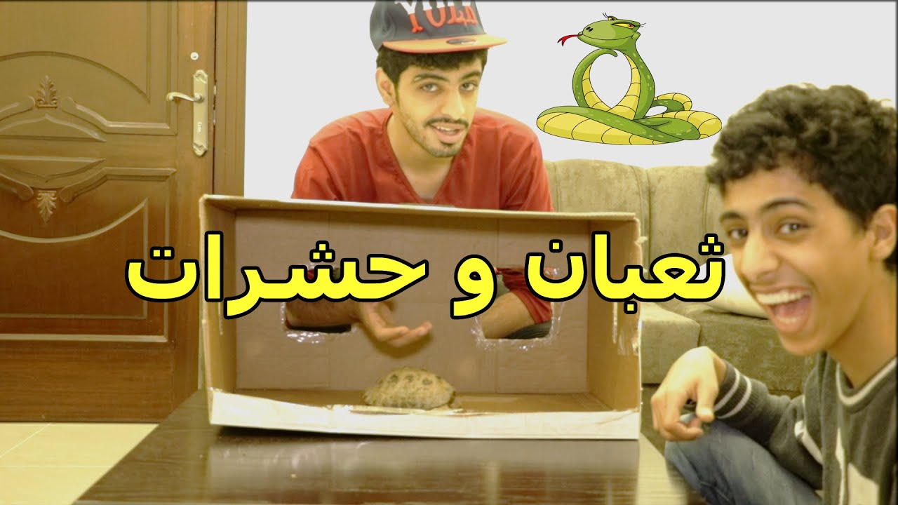 تحديات مع علي  - ايش في الصندوق ؟ ( جاب ثعبان ) ضضضحكك هههههه