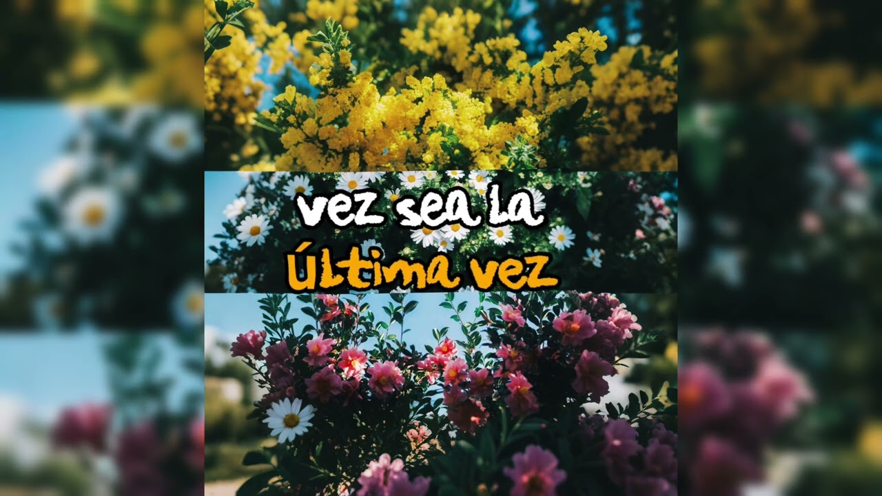La última vez [ La mejor canción para decir adiós]