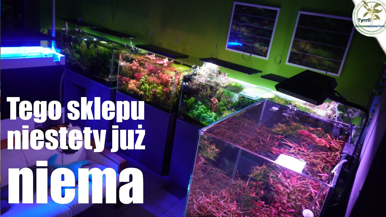 Studio akwarystyki roślinnej GreenArt w Sosnowcu #akwarium #akwarystyka #greenart
