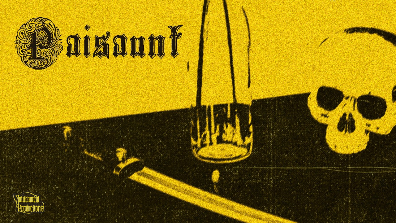 PAISAUNT - The Cold Evening Glow (Melodic Black Metal - official lyric video)