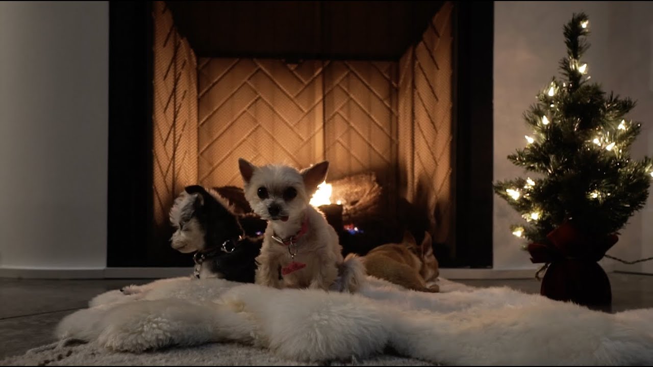 Beans Yule Log by the Fireplace