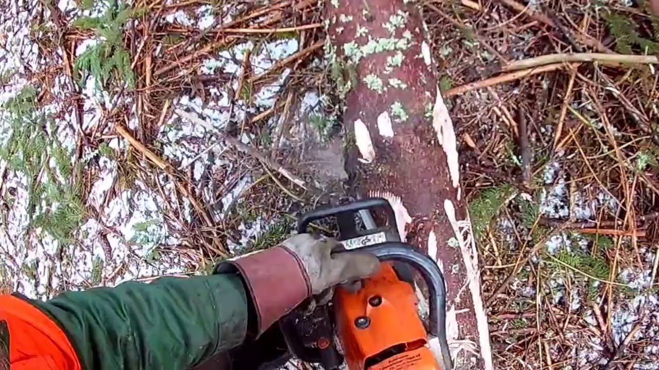 Forestry in Sweden, Chainsaw and winsch