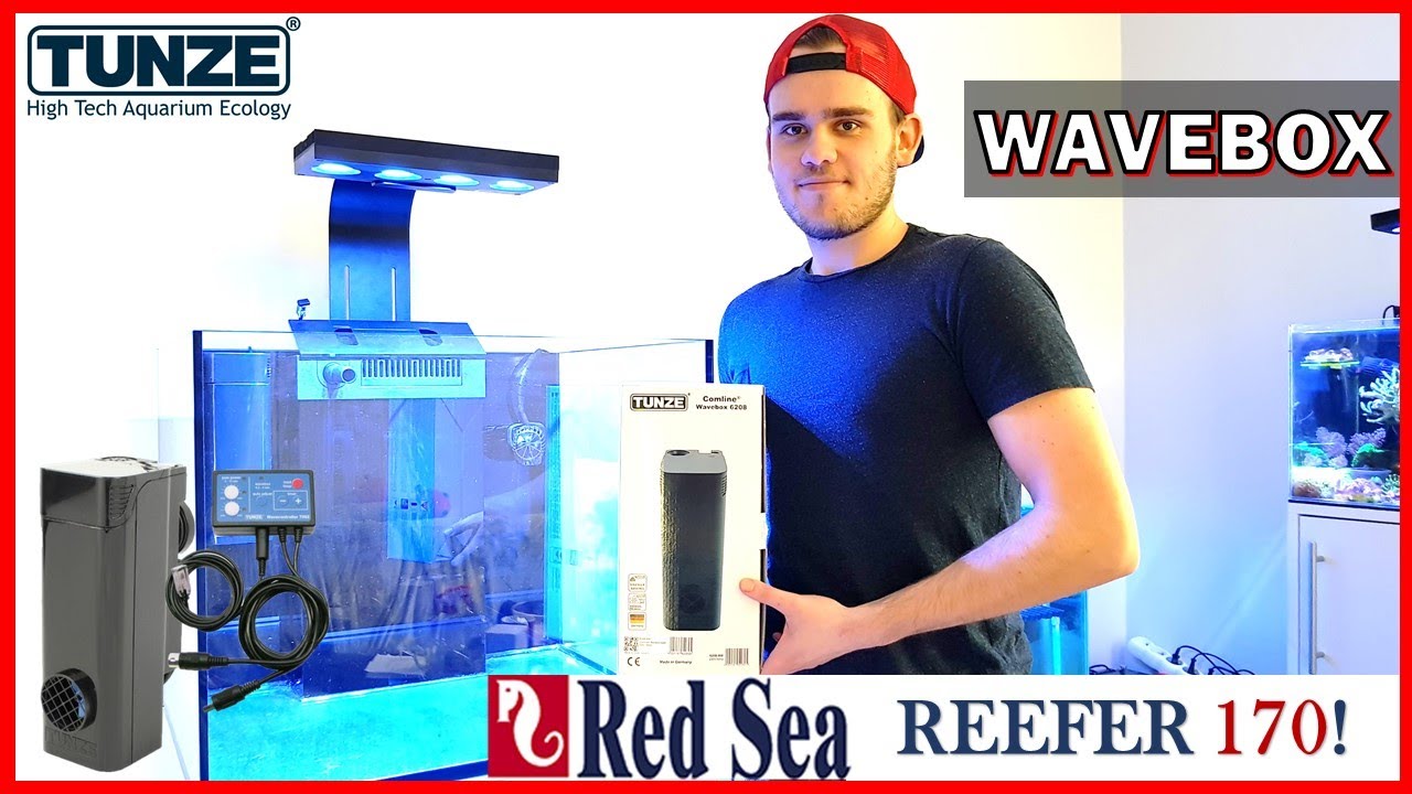 [Reefer170] Red Sea Reefer 170 - Tunze WAVEBOX 6208 🛠🤨PROJEKT 👉Akwarium morskie krok po kroku🔥