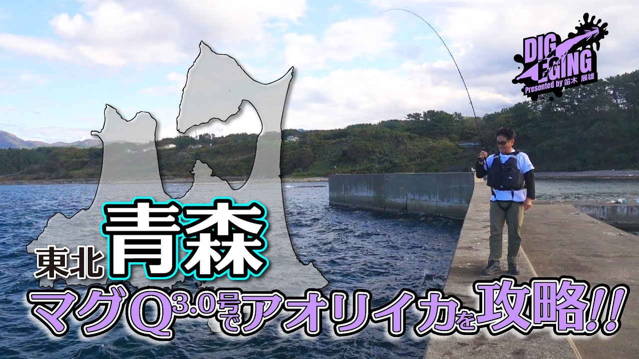 東北・青森のアオリイカをマグQで攻略！ │ DIG EGING#7（1478）