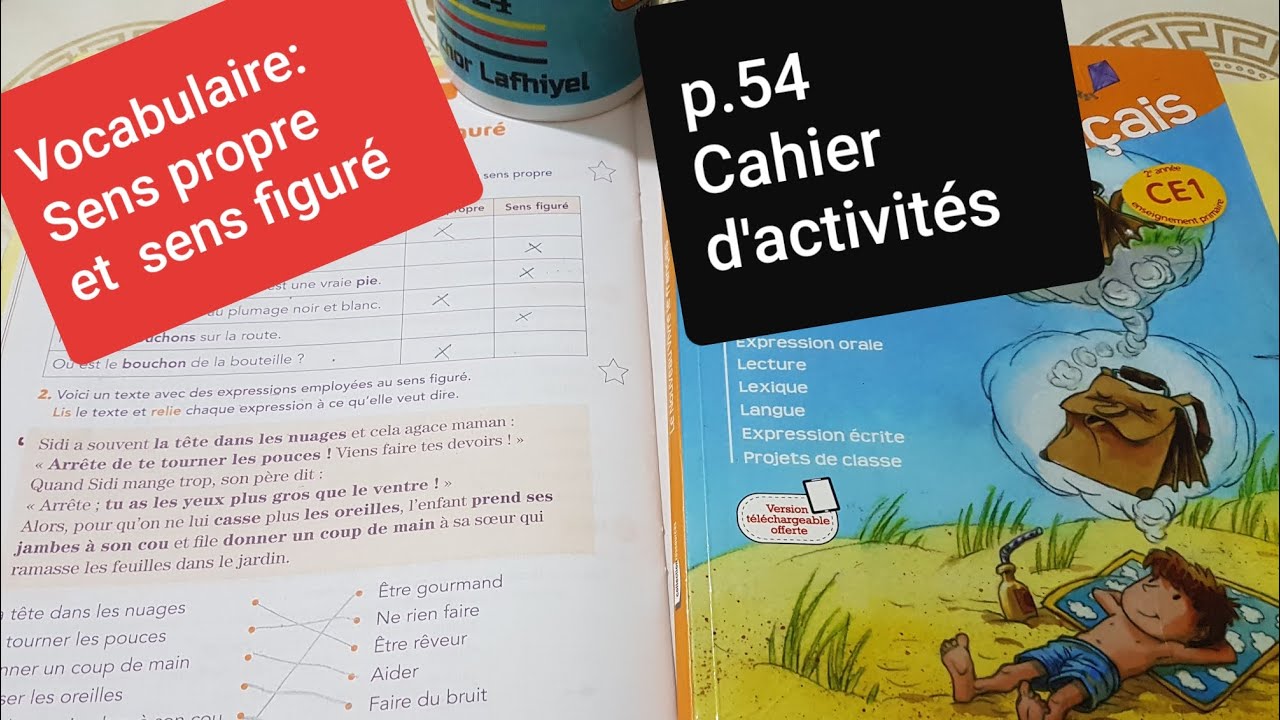 Vocabulaire Sens propre et  sens figuré p.54 cahier d'activités 2. Le nouveau vivre le français CE1