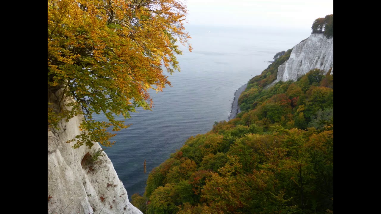 Maler Herbst an Rügens Kreideküste