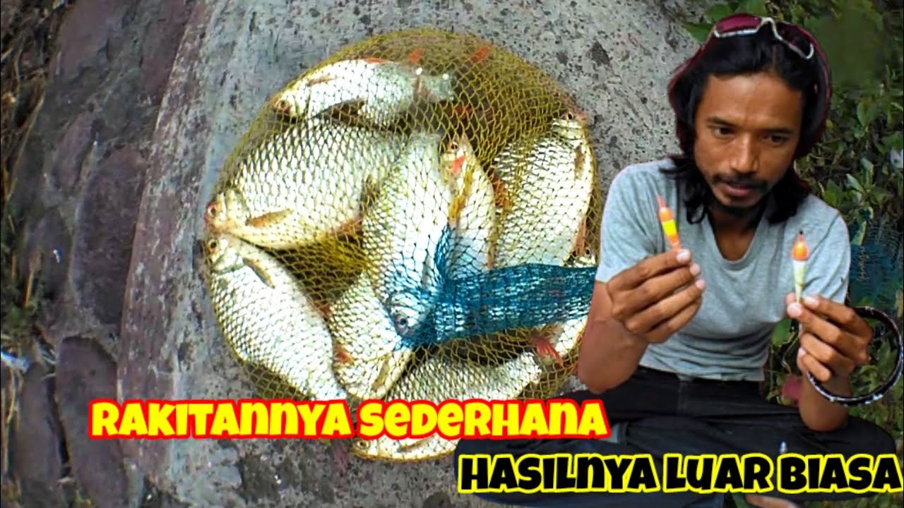 Rangkaian pancing untuk mancing ikan tawes arus deras #jelata #mancingmania