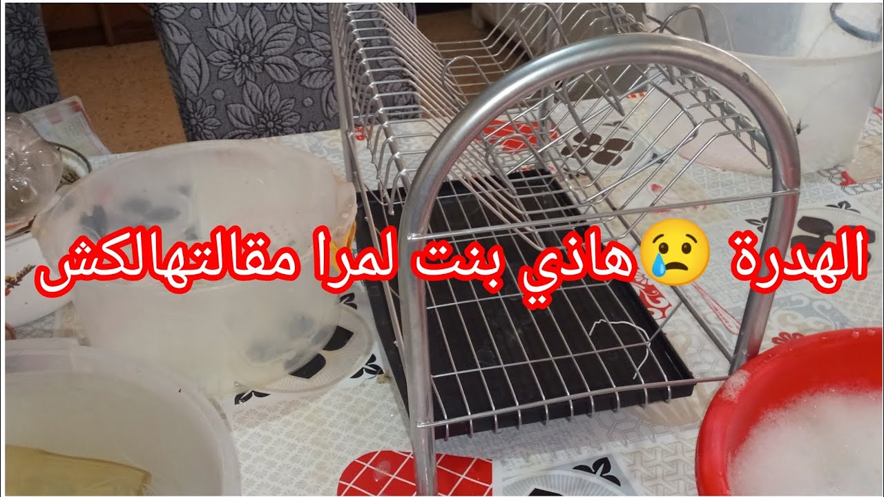 #نتحدى اي وحدة عندها الجراة وتوريك واش وريتك انا ولا تهدرلك هاذ الهدرة #وصلنا لزمن والزوخ والفوخ طغى