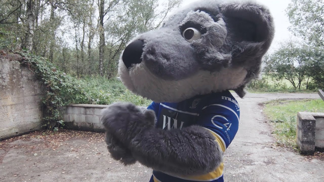 Wolfie gets set for Bonfire Night at the HJ!