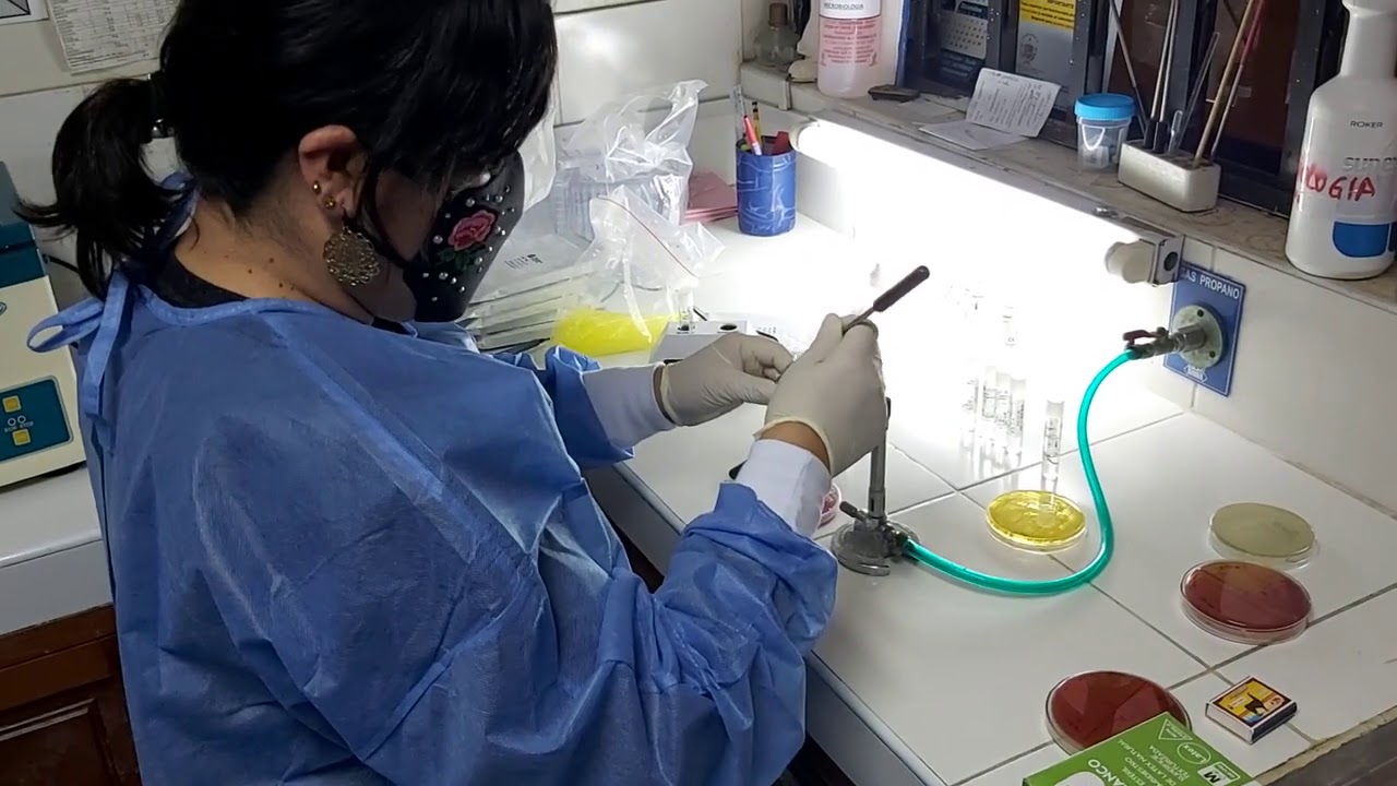 Capacitacion microscan