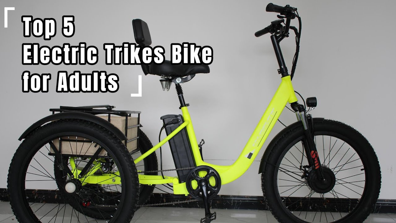 Top 5 Electric Trikes Bike for Adults | The Best E-tricycle 2024 in Tianjin Anyida Trikes Factory
