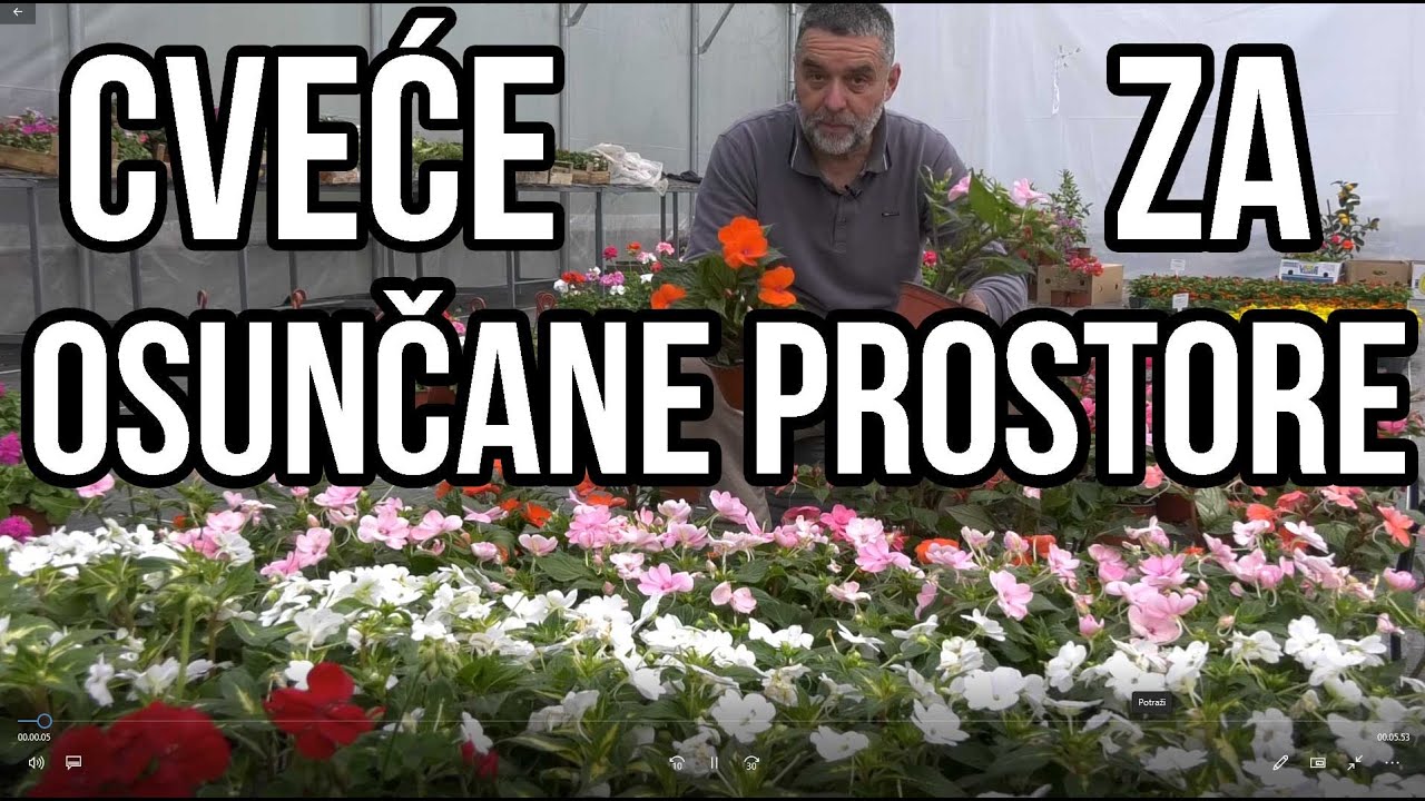 Cveće za osunčane prostore