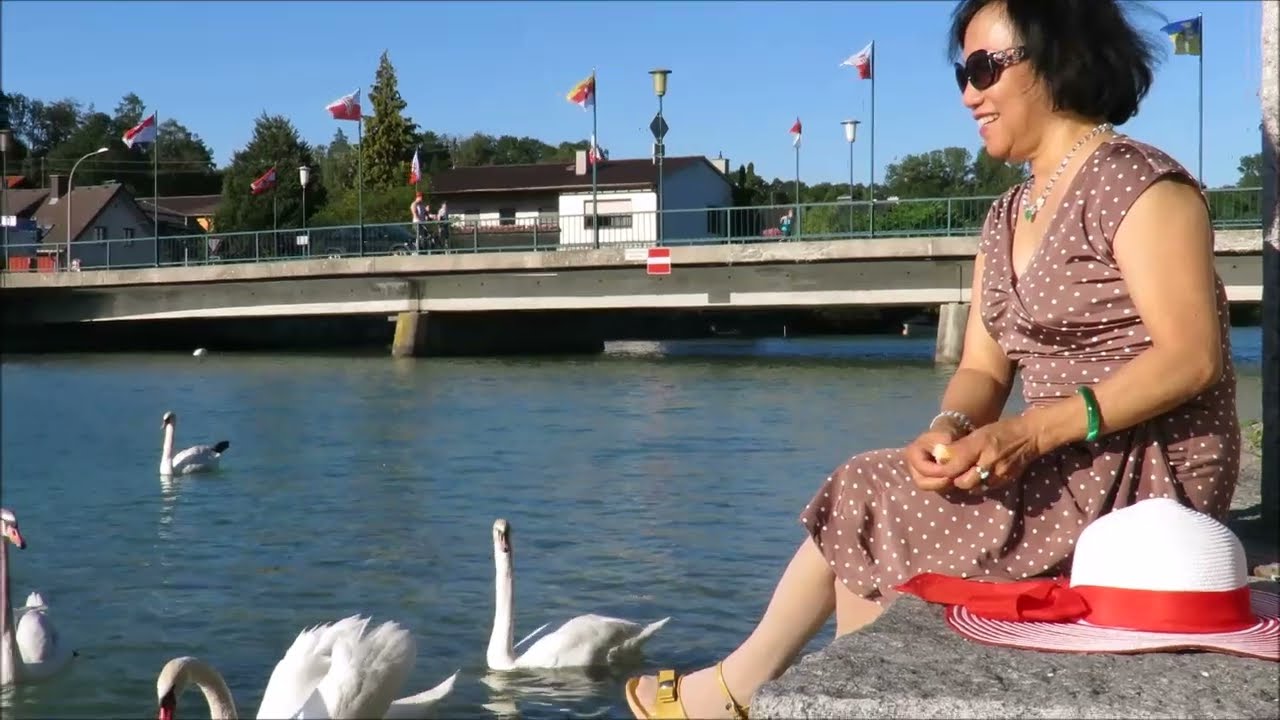 Như Cánh Vạc Bay - nhạc Trinh Công Sơn cover Thúy Nga