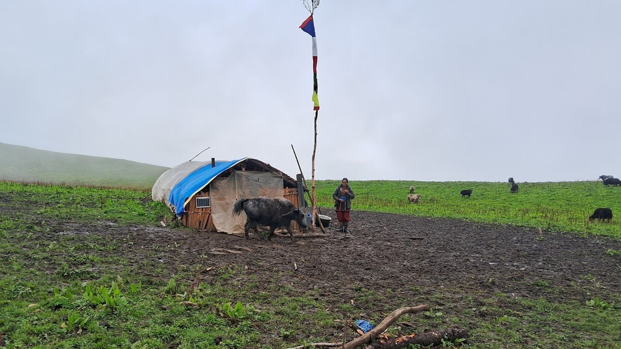 Himalayan  Mountain Village Life || During the Heavy Rainy Season | Himalayan Mountain villagelife 