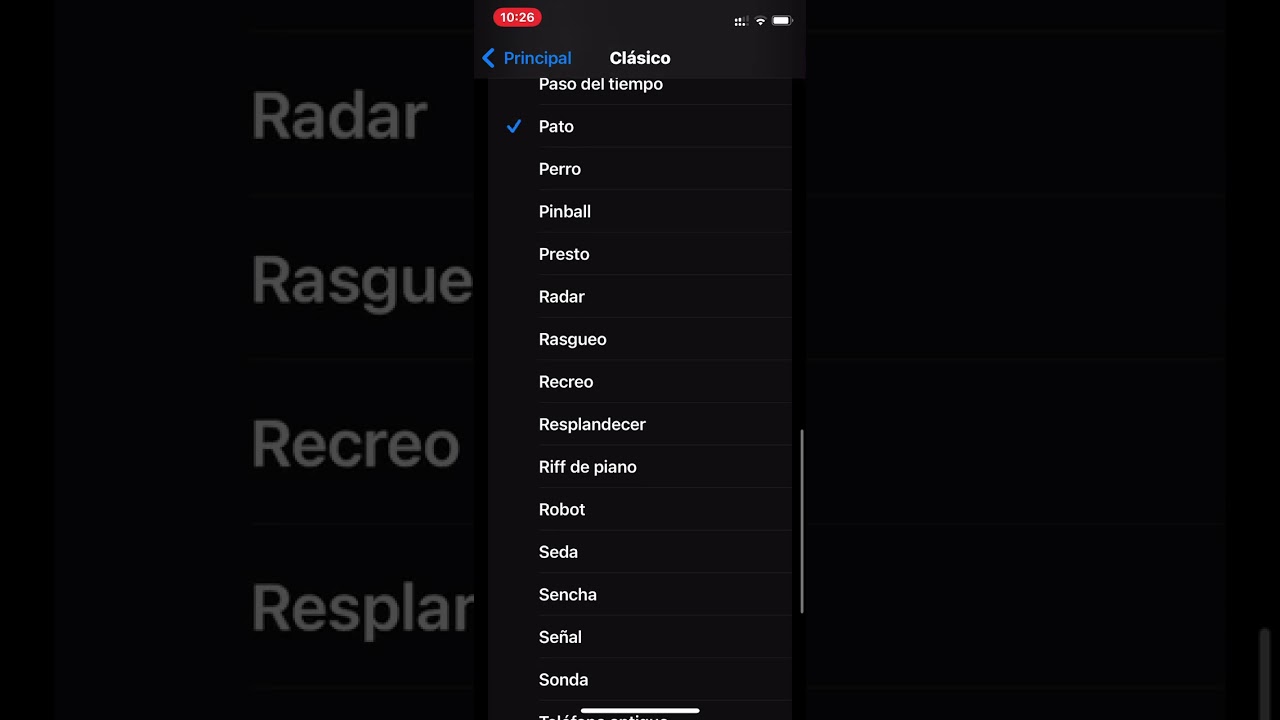 iPhone XS Max     iOS 18