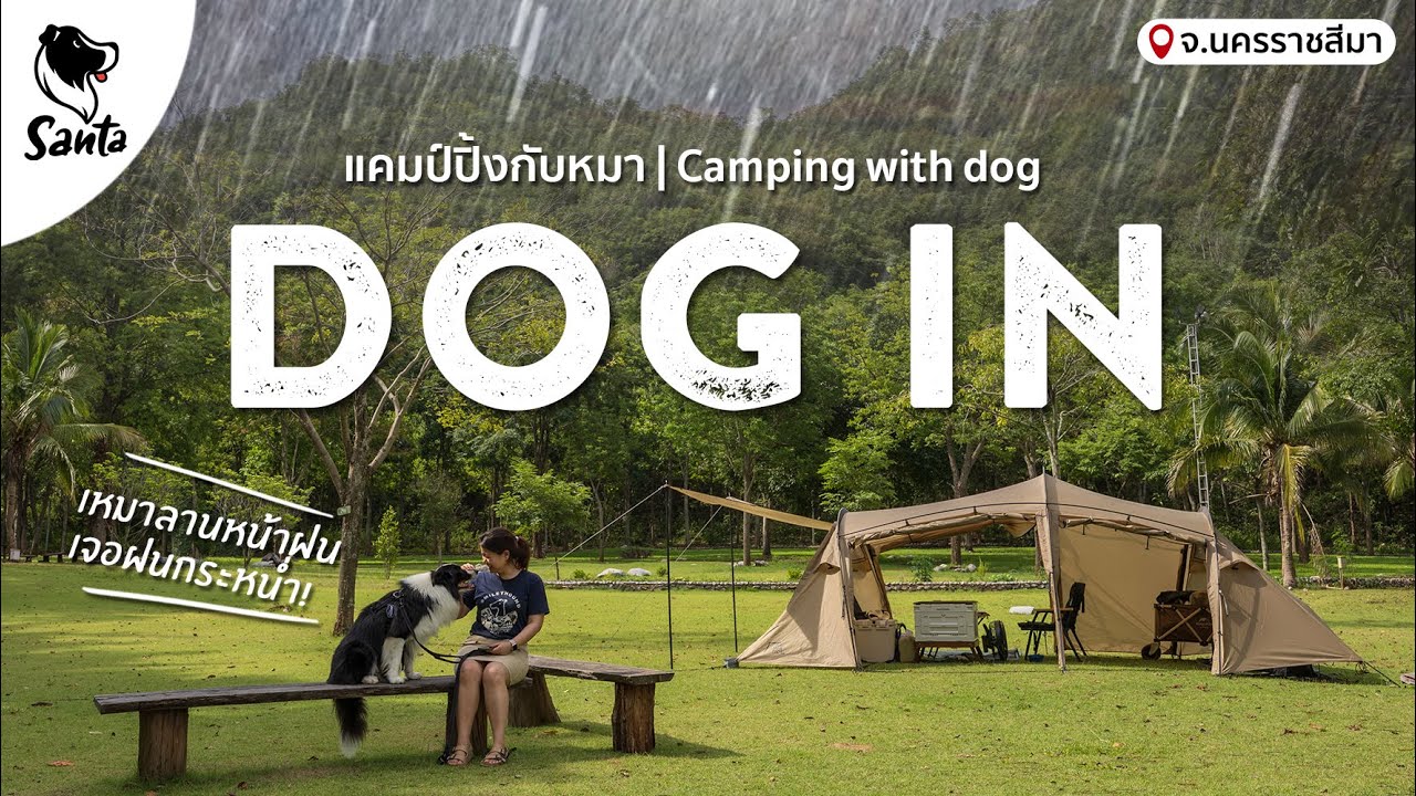 Dog in ลานสนามหญ้ากว้างติดวิวเขา เหมาลานหน้าฝน เจอเต็มๆ ลมแรง ฝนกระหน่ำ! | Santa Camping  [Ep.20]