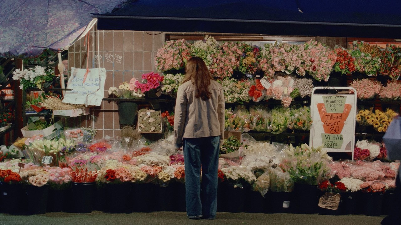 May - Bloom (Official EP Trailer)