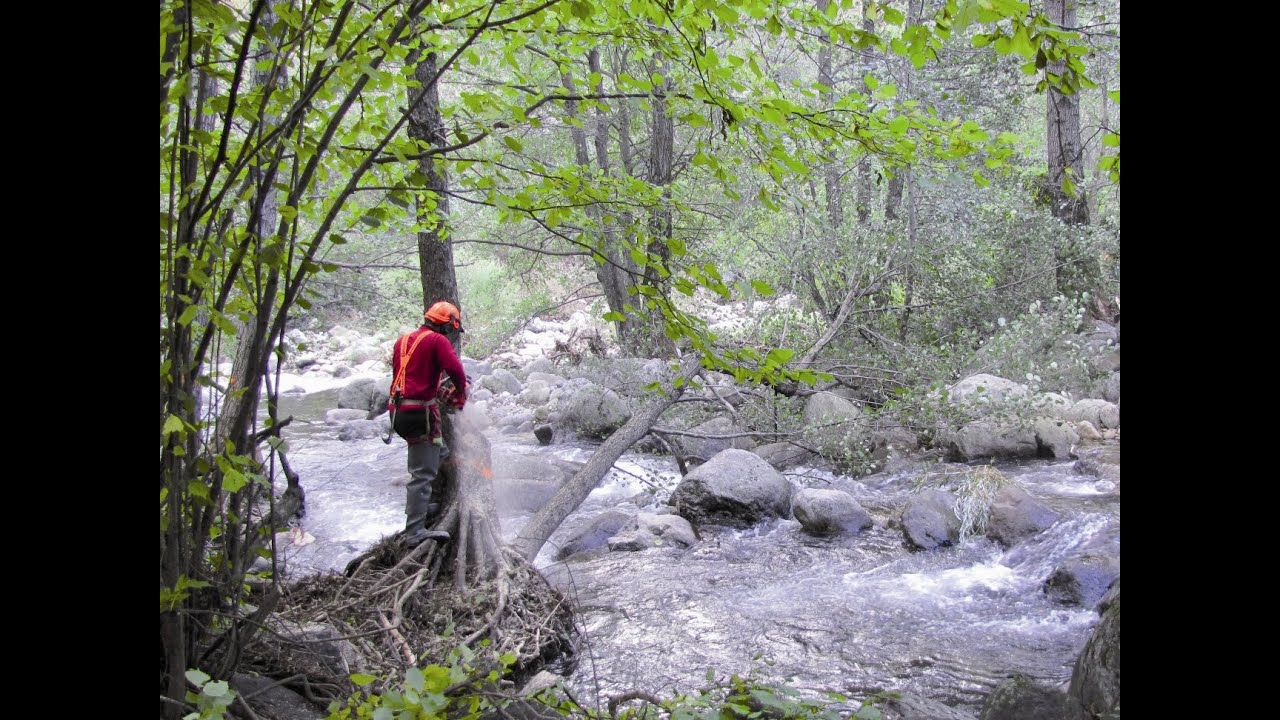 Entretenir les berges des rivières