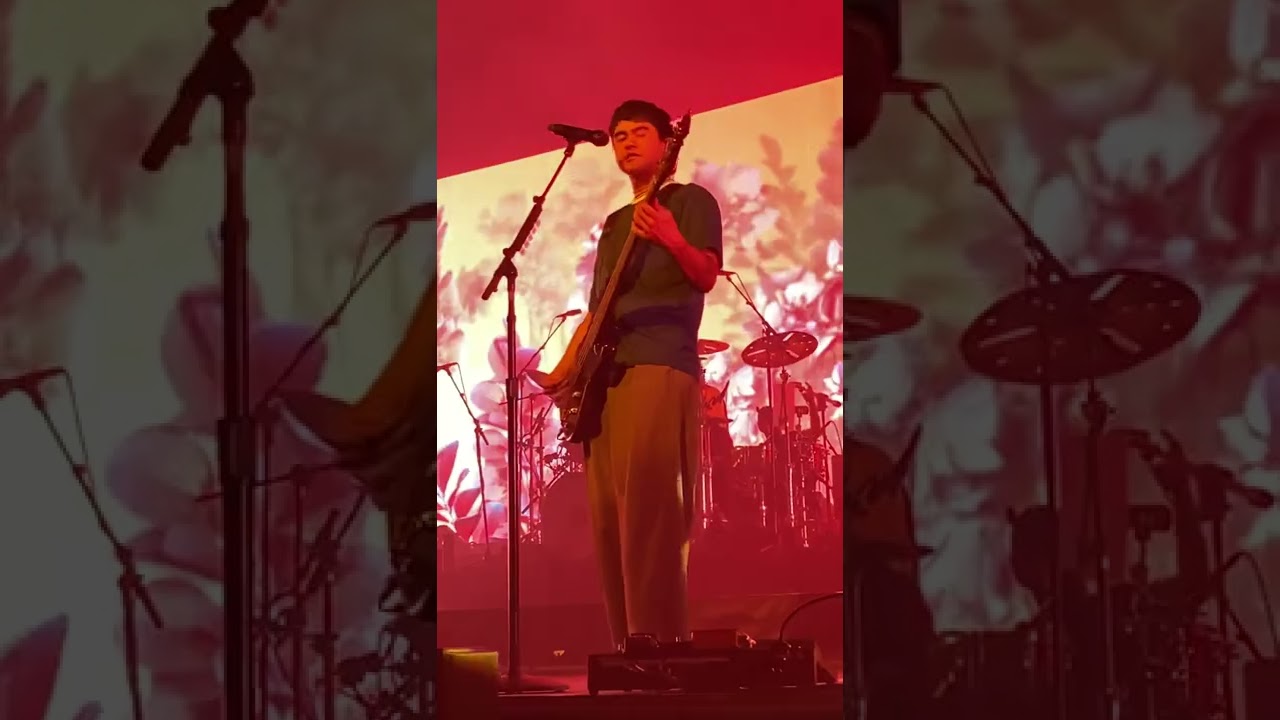 5SOS - Wildfower (Calum Focused - TMH TOUR Düsseldorf)