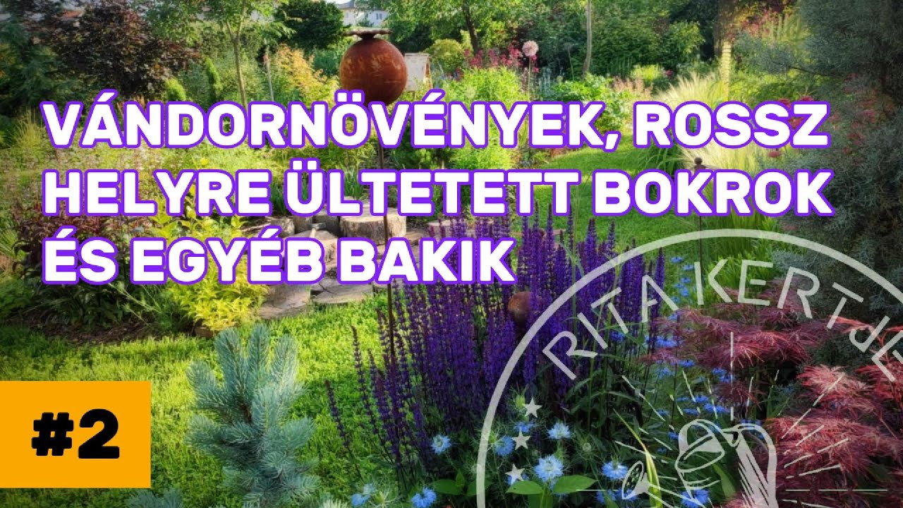 🎥 Hibák, amiket kezdő kertészként elkövettem a növények ültetésekor