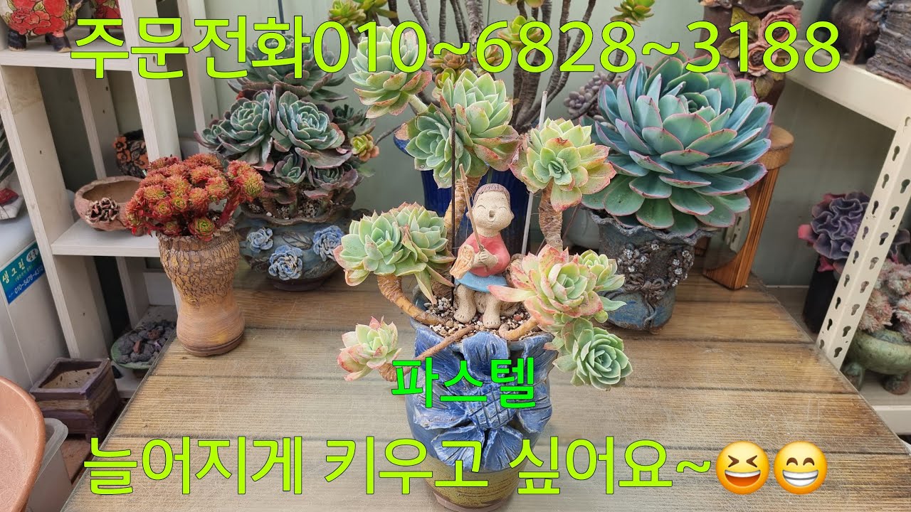(26.3.5.목)늘어진 파스텔 이쁠듯~😁😆