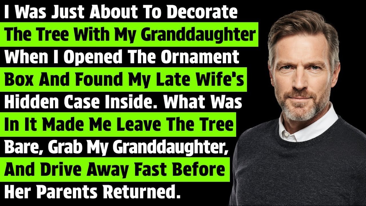 I Was Just About To Decorate The Tree With My Granddaughter When I Opened The Ornament Box And…