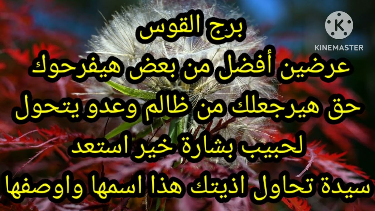 برج القوس عرضين افضل من بعض هيفرحوك