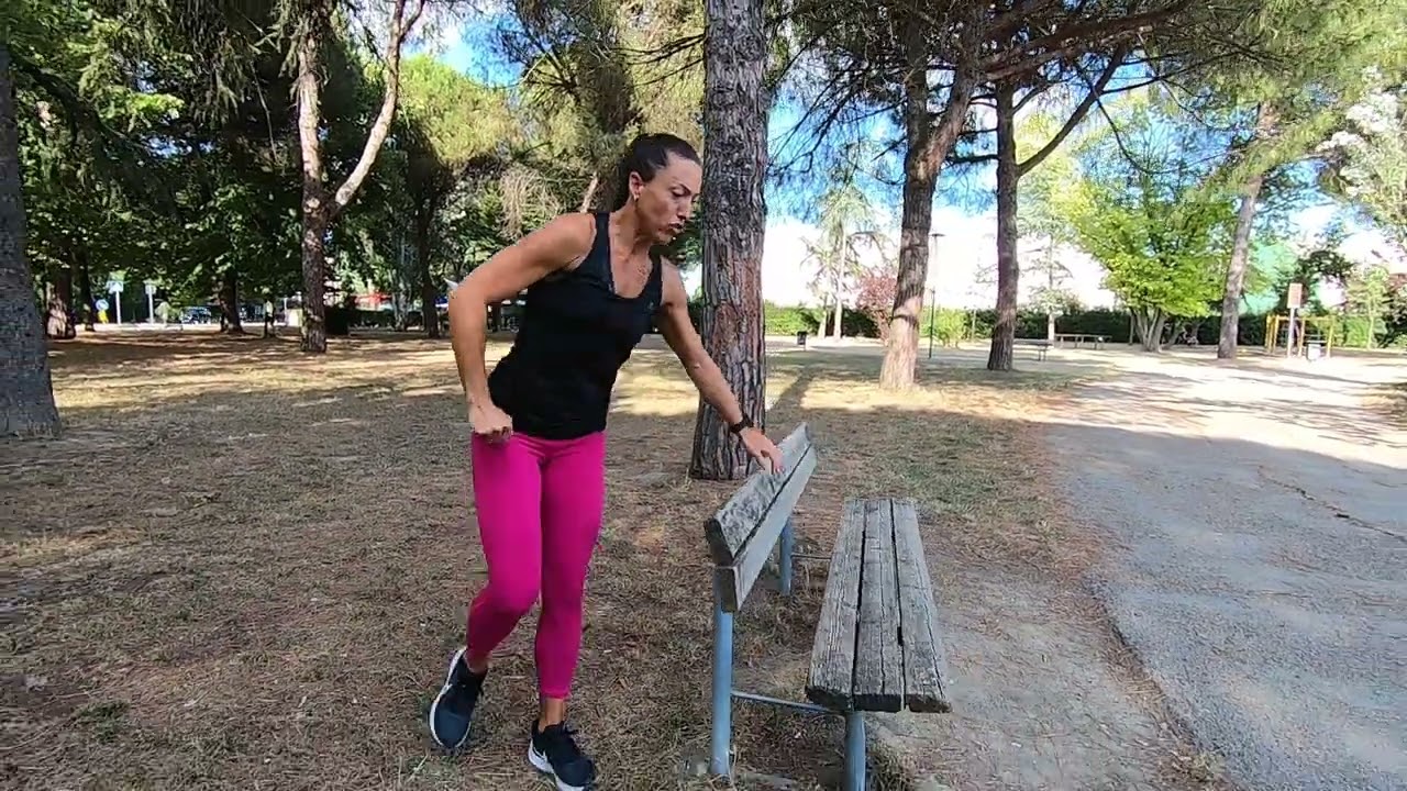 Circuito con la panchina
