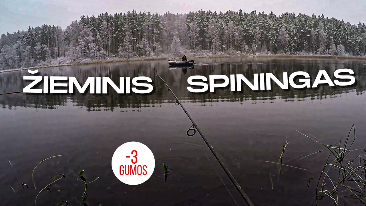 Sušalau, sušlapau, ir nieko nepagavau...Žieminė žvejyba spiningu nuo kranto su nuotykiais 2022.