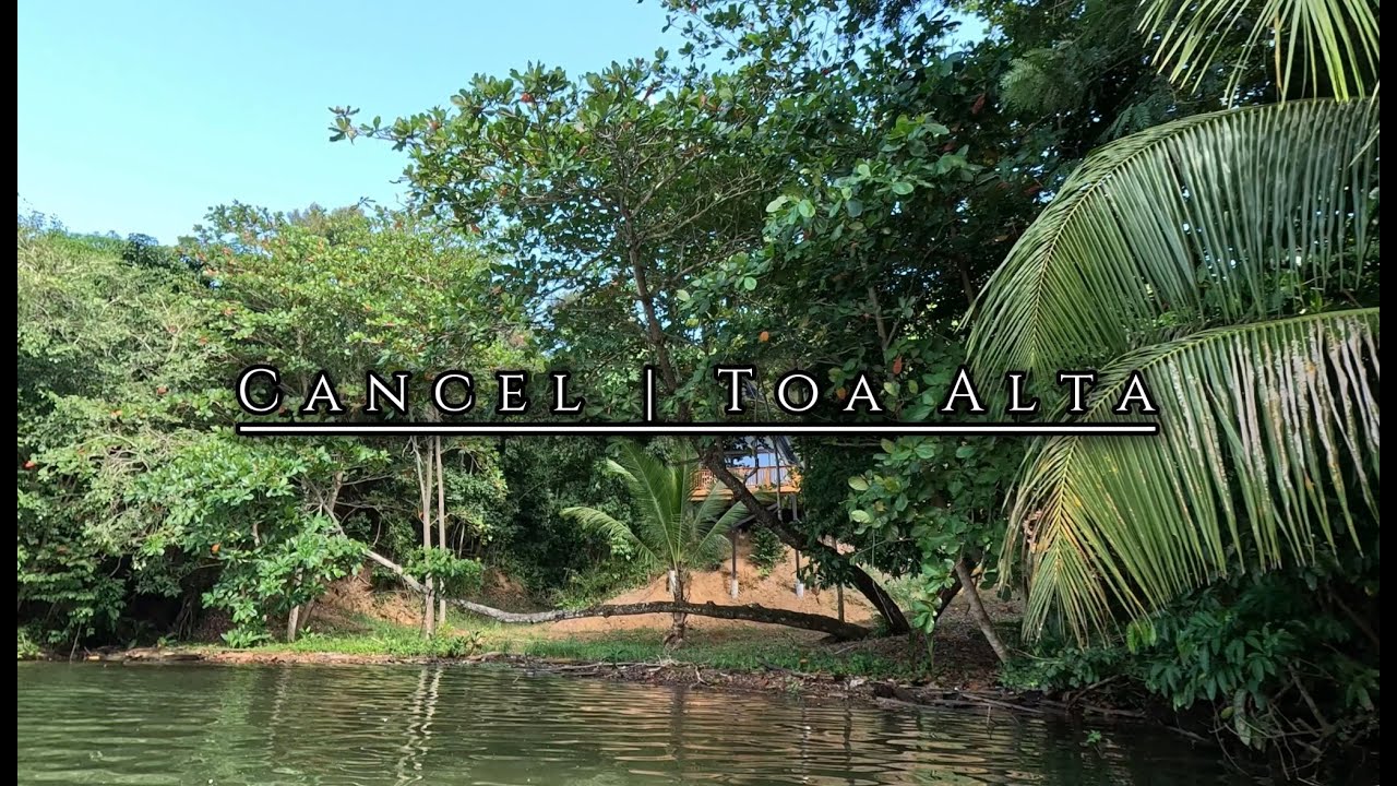 Pesca De Tucunares / Pavón | Explorando Nueva Quebrada Del Lago La Plata Puerto Rico 🇵🇷🛶